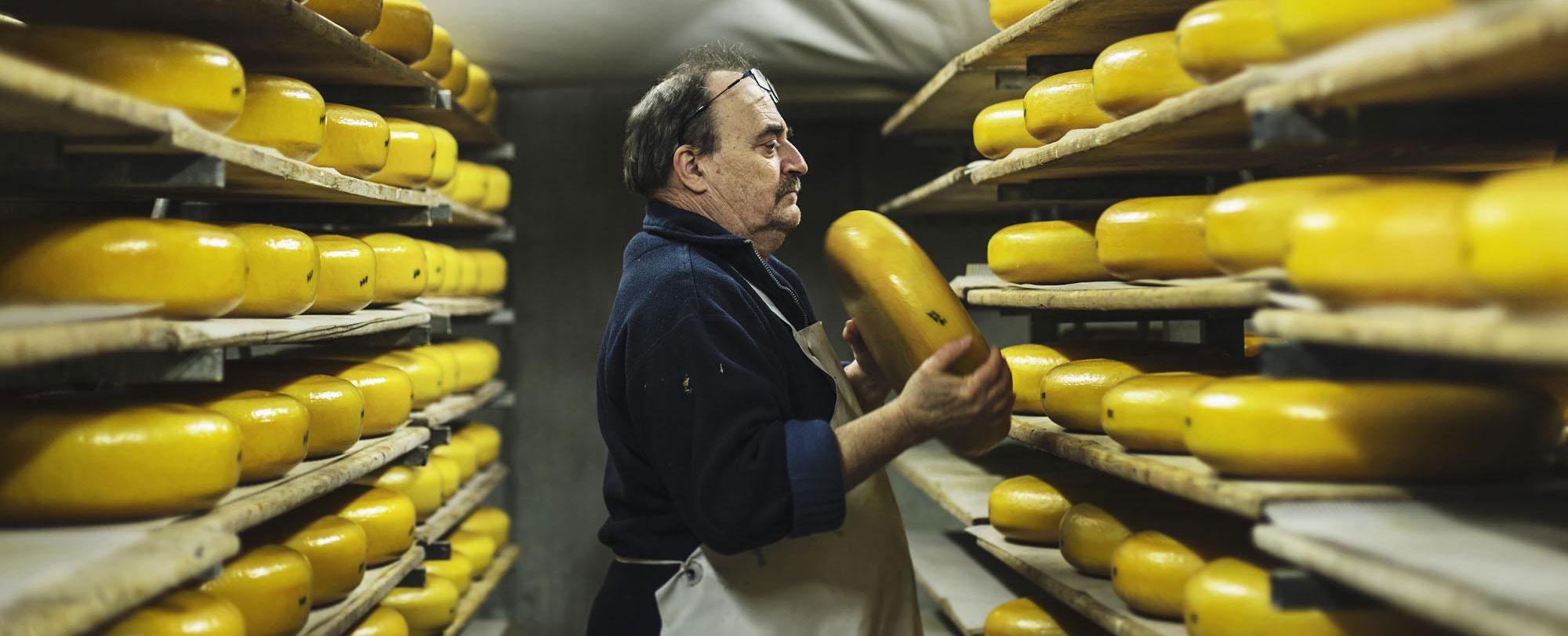 ambachtelijke kaasproductie